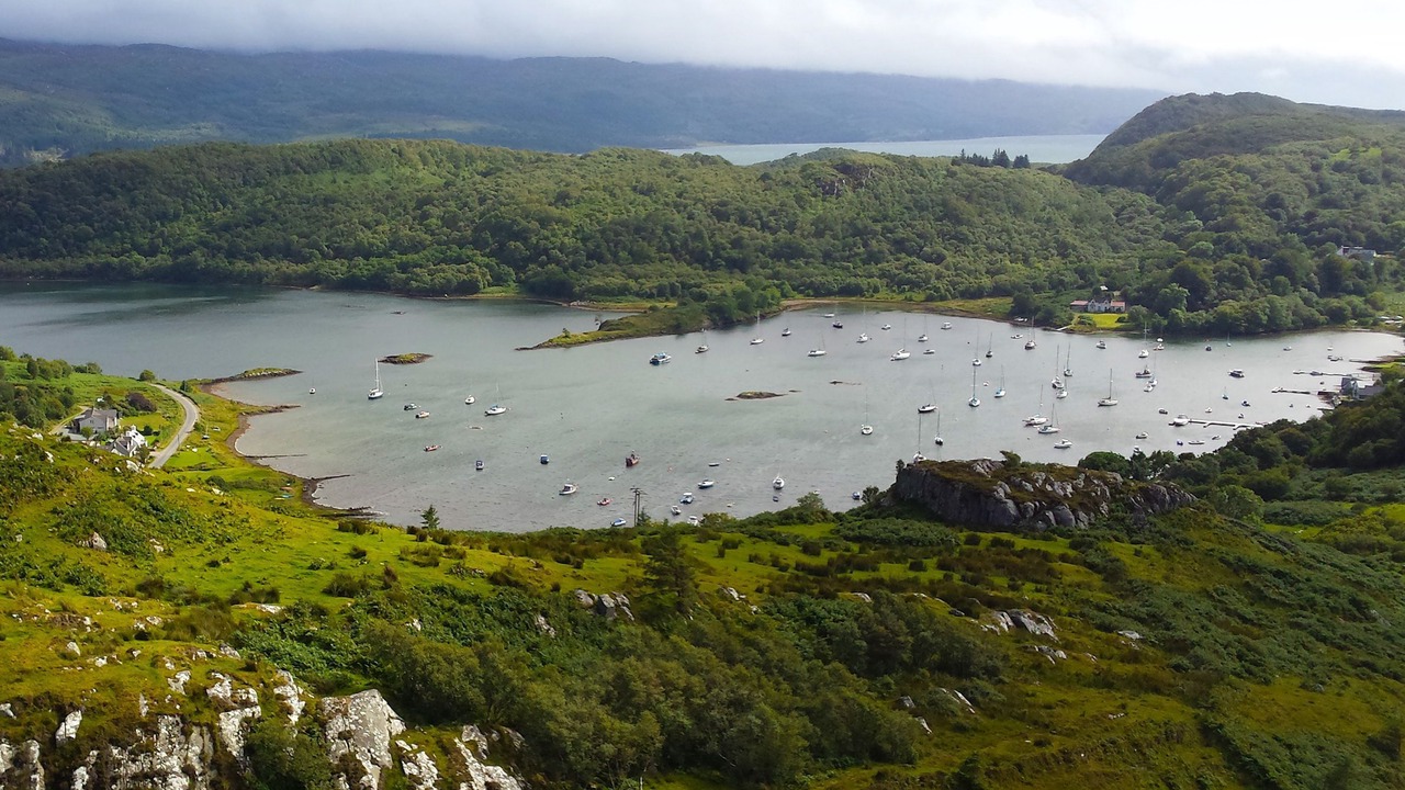 Photo of Others in Tayvallich