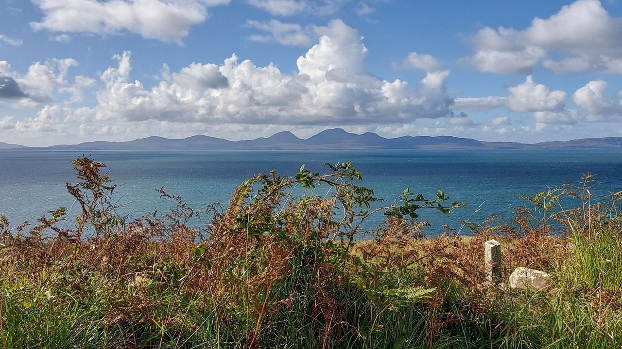 Photo of Others in Tayvallich