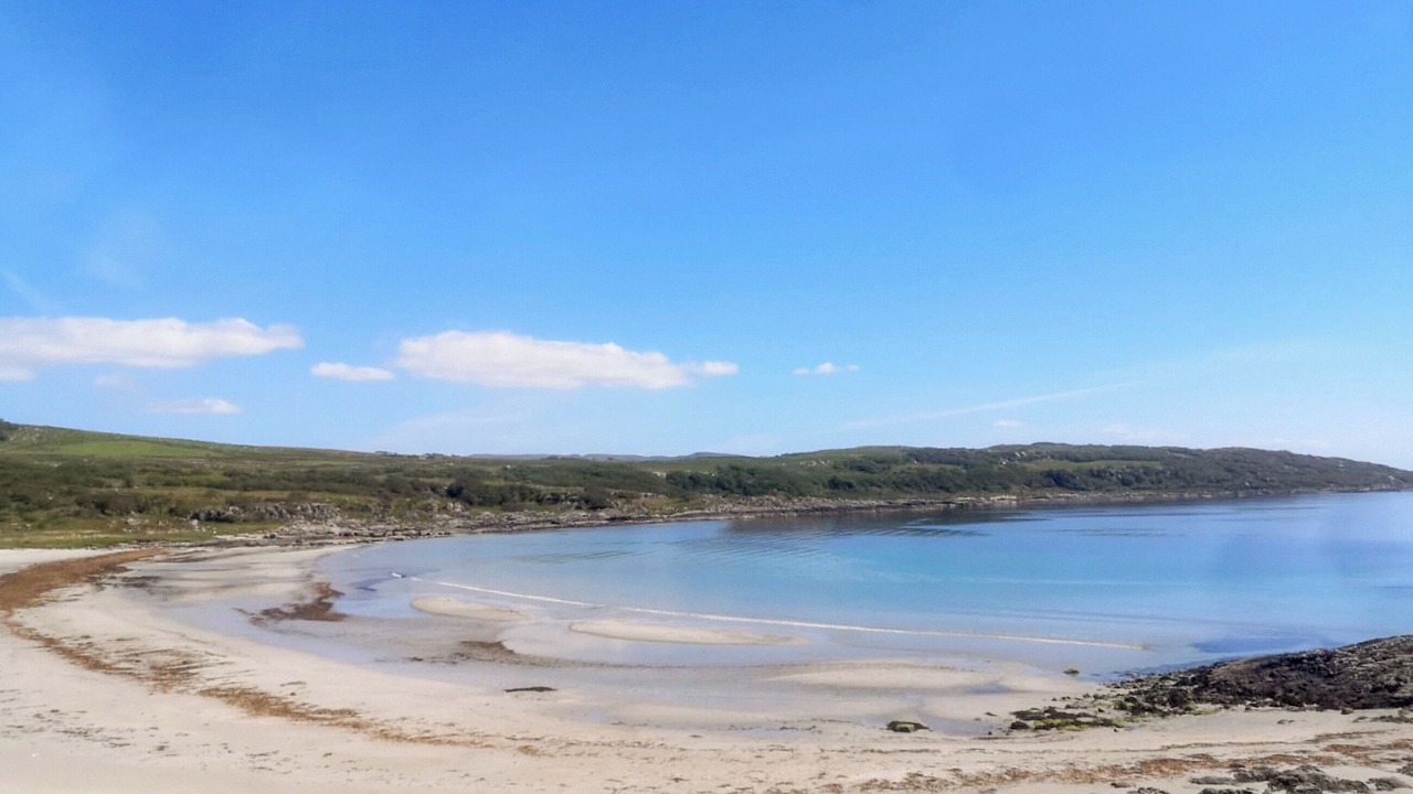 Photo of Others in Tayvallich