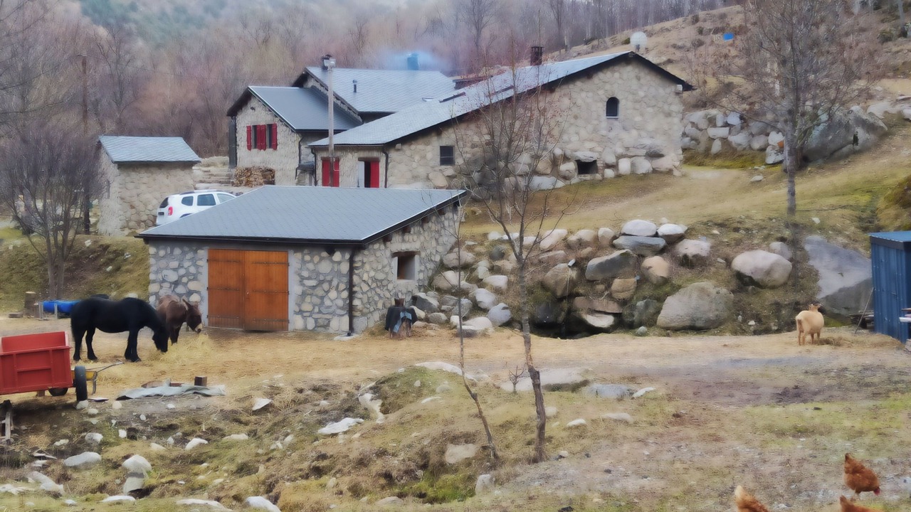 Photo of Outdoor in Porta