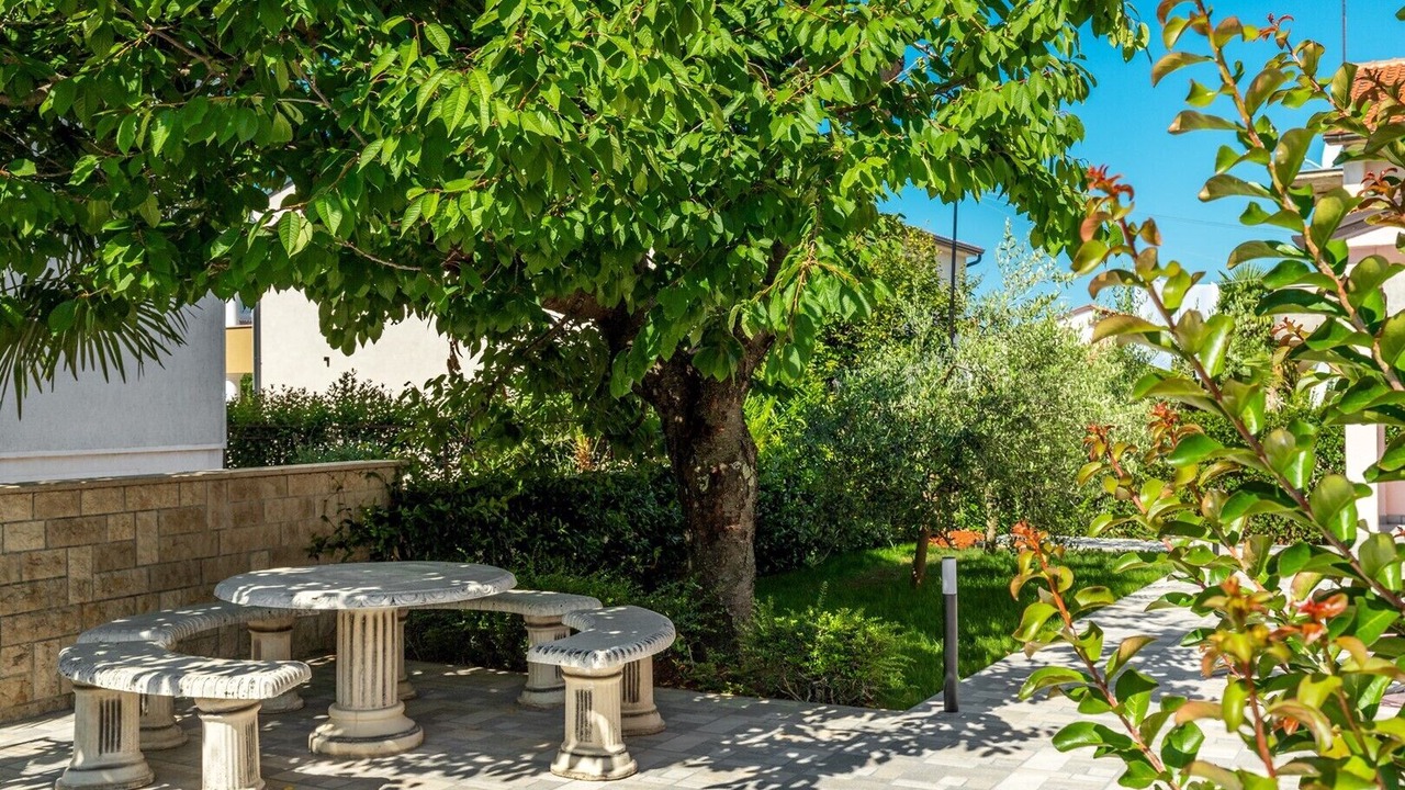 Photo of Outdoor in Spadici