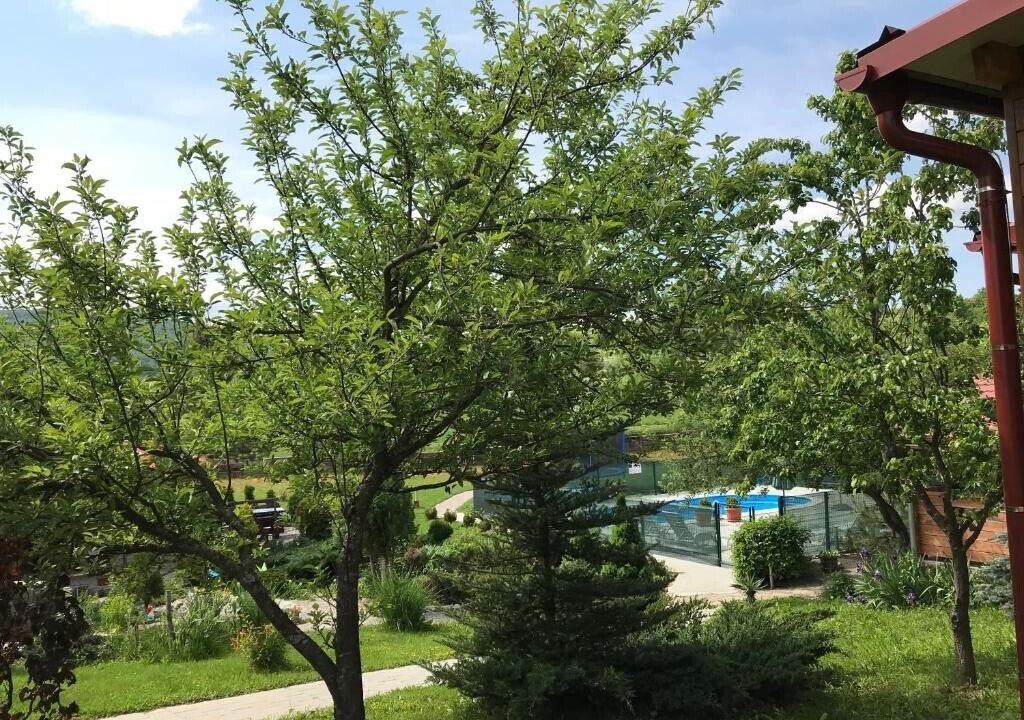 Photo of Outdoor in Rakovica