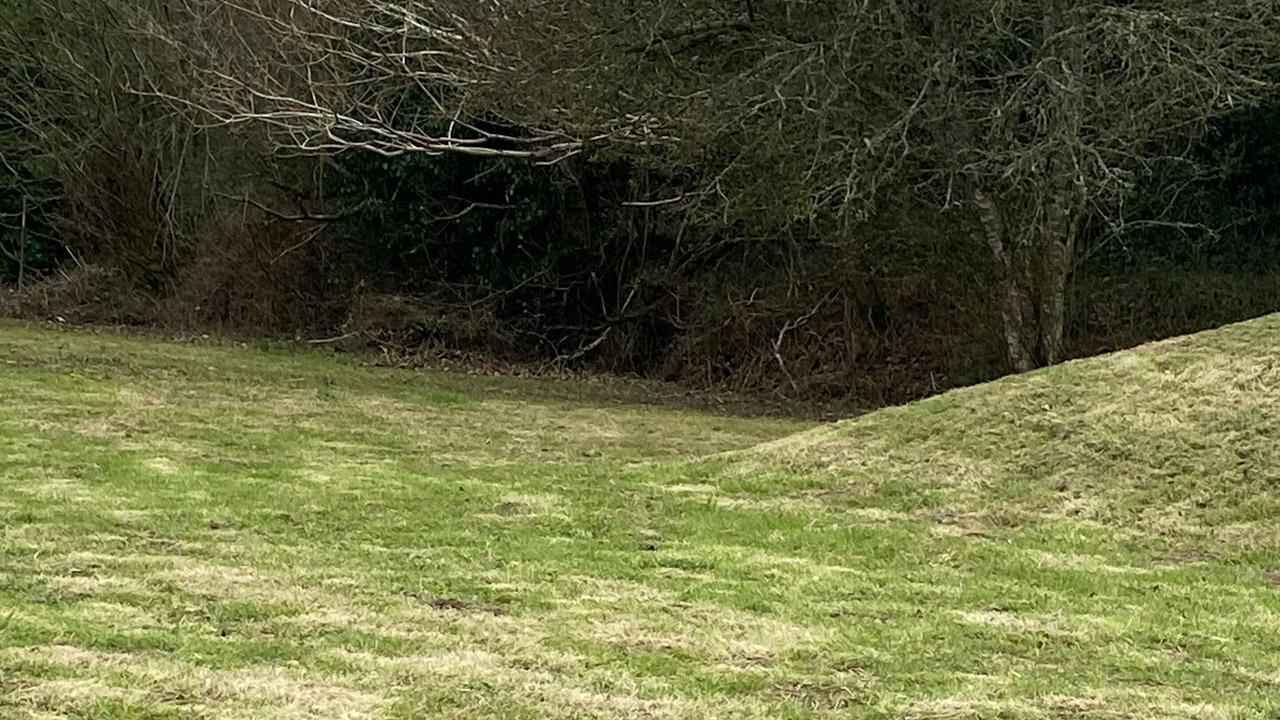 Photo of Outdoor in Lannion