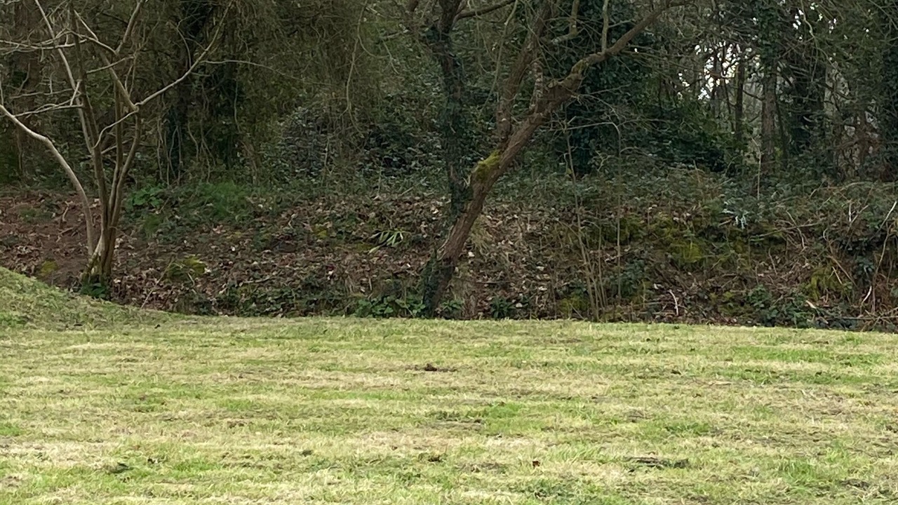 Photo of Outdoor in Lannion