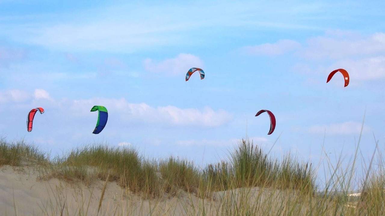 Photo of Others in Berck-sur-Mer