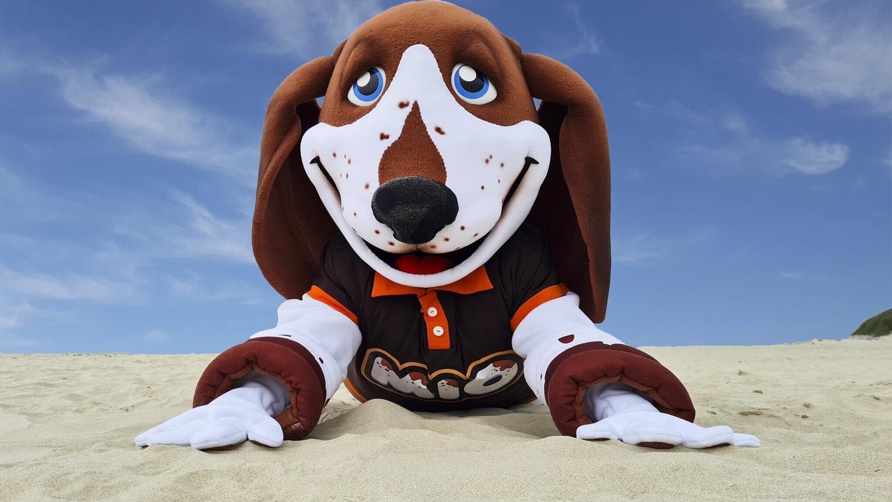 Photo of Others in Berck-sur-Mer