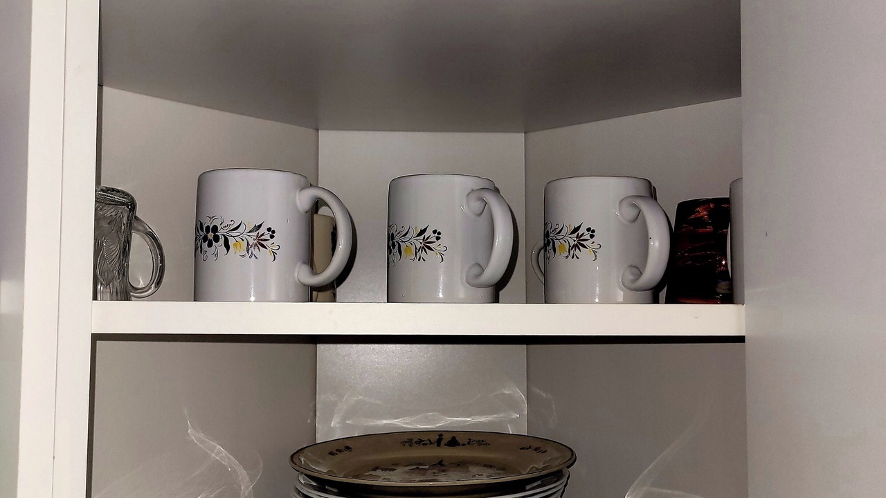 Photo of Kitchen in Lutz