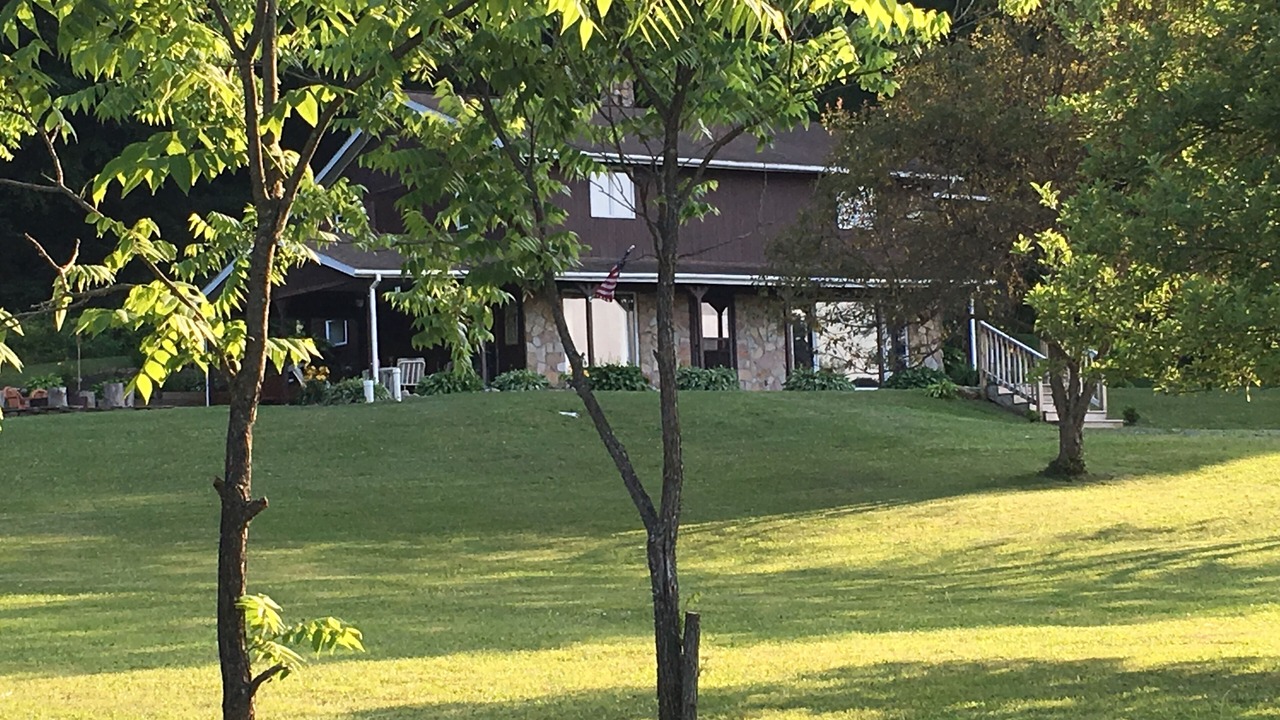 Photo of Outdoor in Force