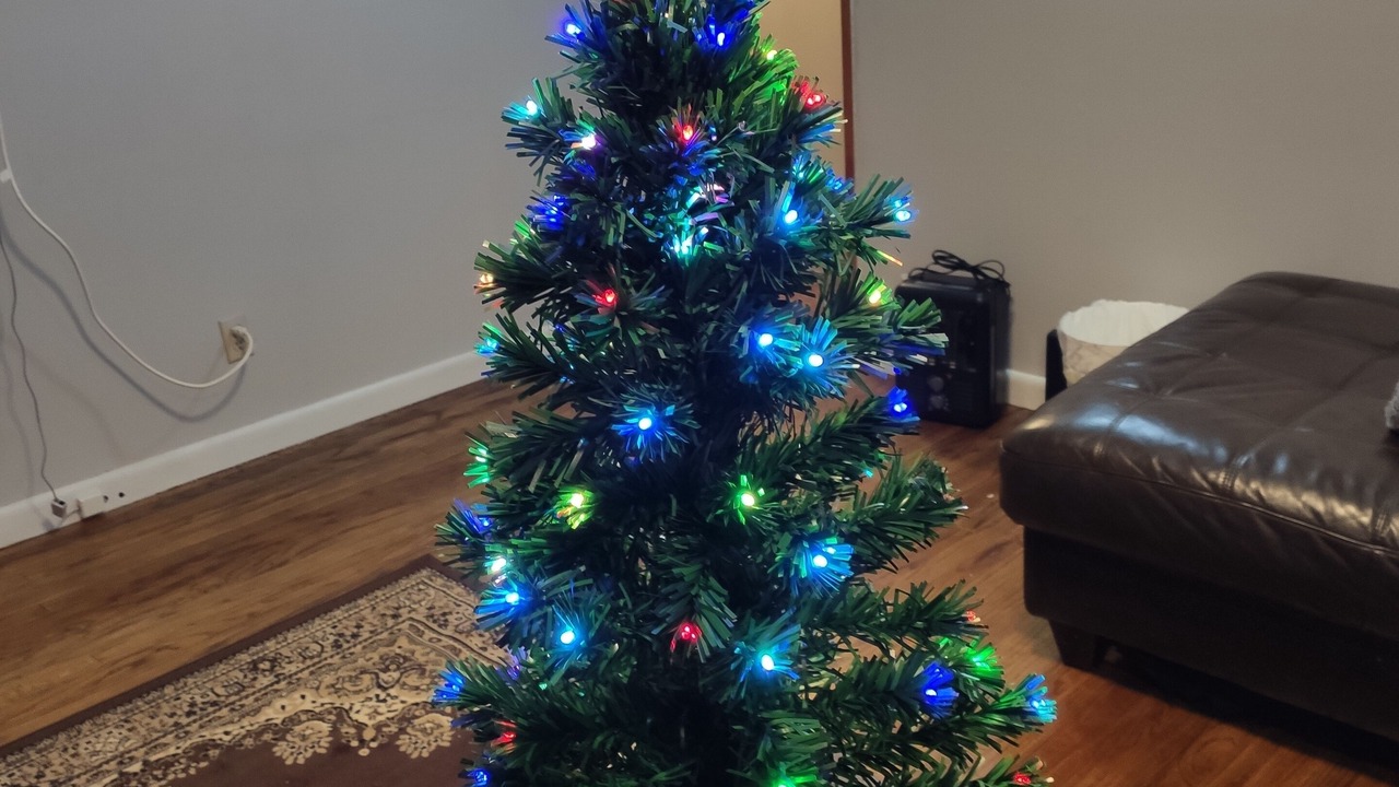 Photo of Others in Pine Point