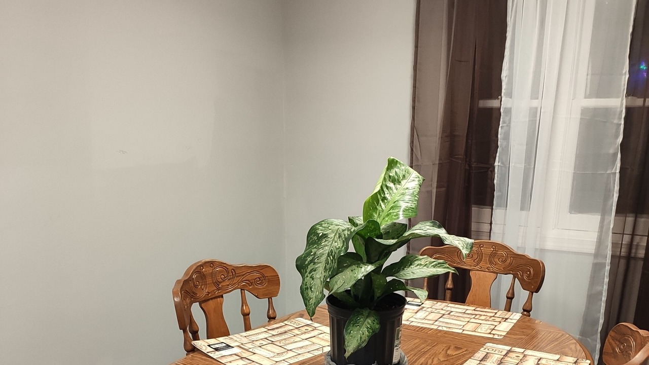 Photo of Others in Pine Point