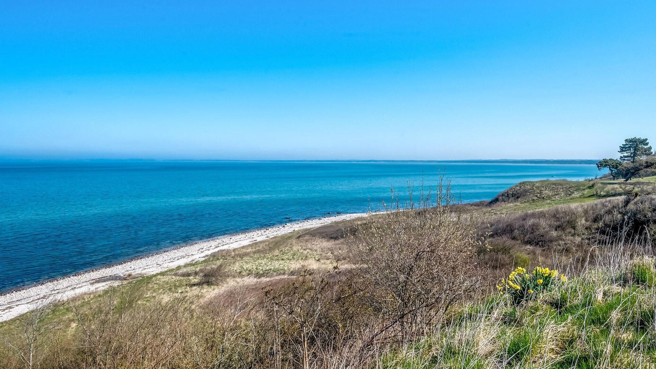 Photo of Others in Hoeve Strand