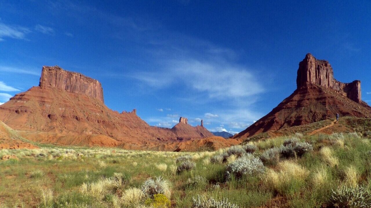 Photo of Others in Moab
