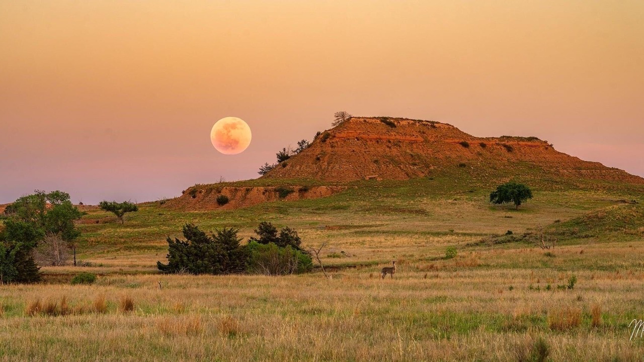 Photo of Others in Medicine Lodge