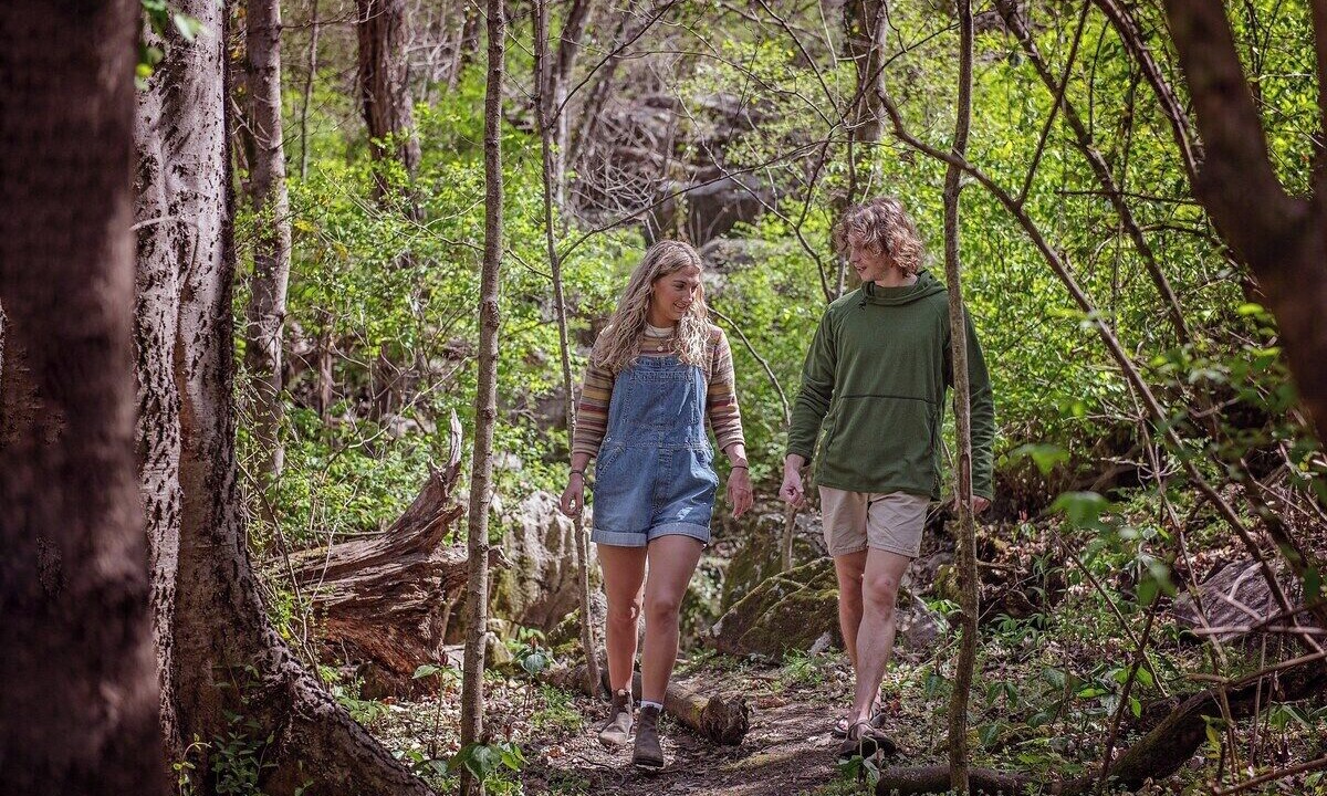 Photo of Others in Lookout Valley Neighborhood Association