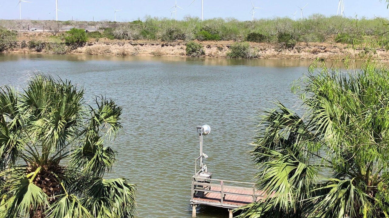 Photo of Others in Rio Hondo