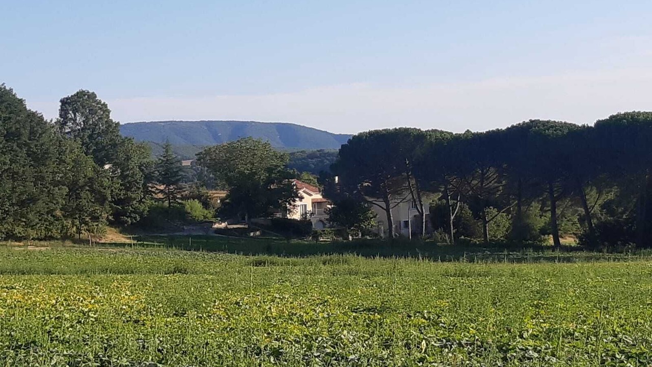 Photo of Others in Forcalquier