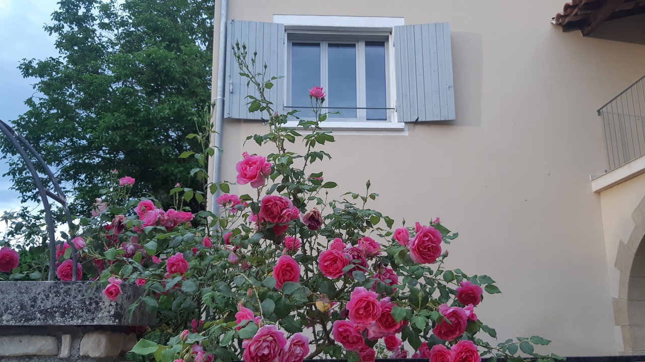 Photo of Outdoor in Forcalquier