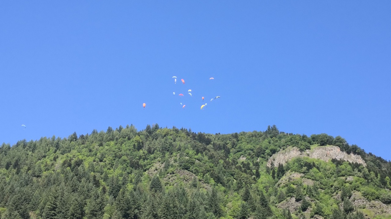 Photo of Others in Vielle-Louron