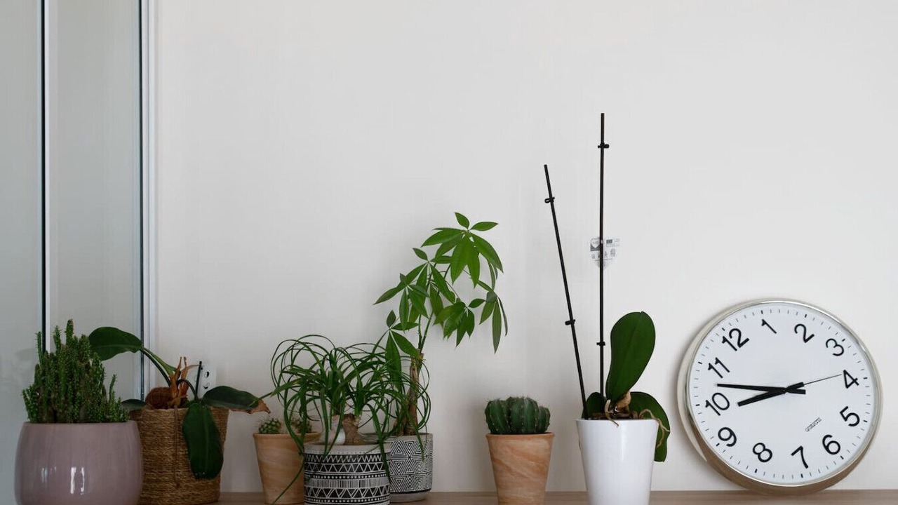 Photo of Others in Champ-Capelet