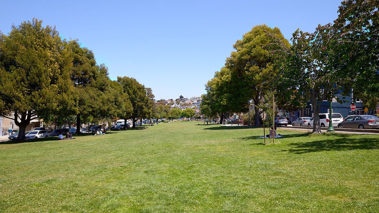 Photo of Others in Bernal Heights