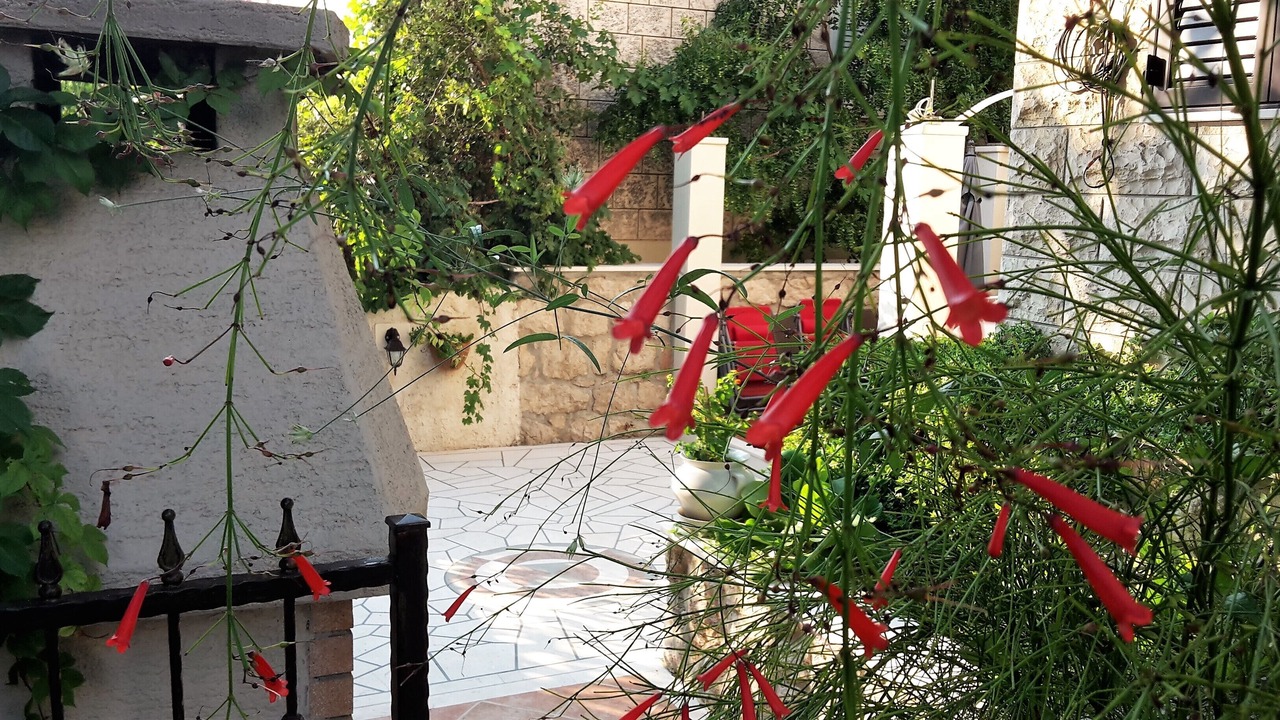 Photo of Outdoor in Gornji Kono