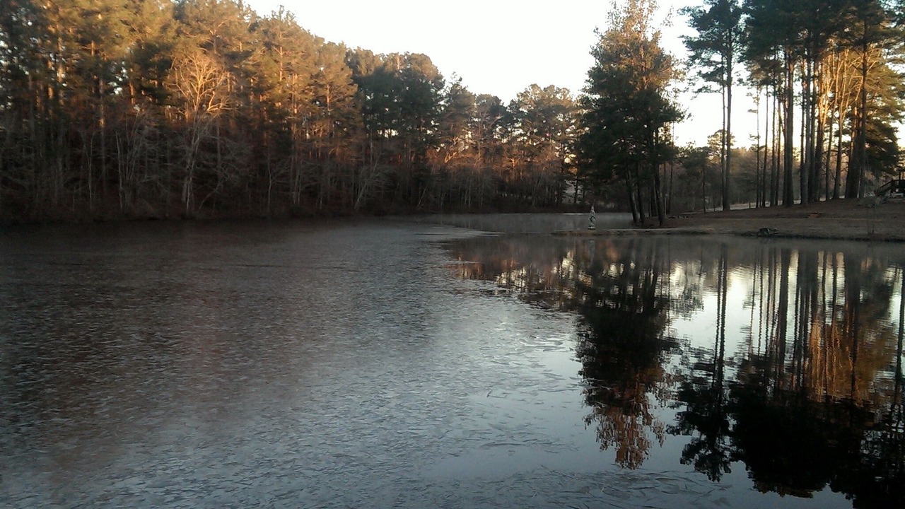 Photo of Outdoor in Mount Berry