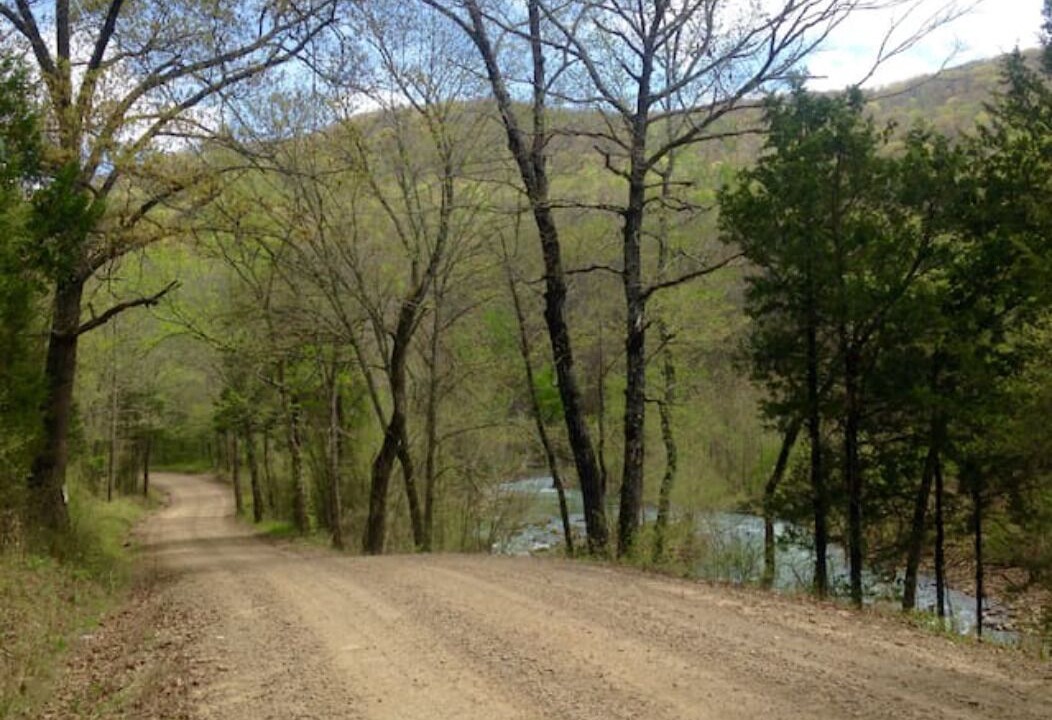 Photo of Others in Pettigrew