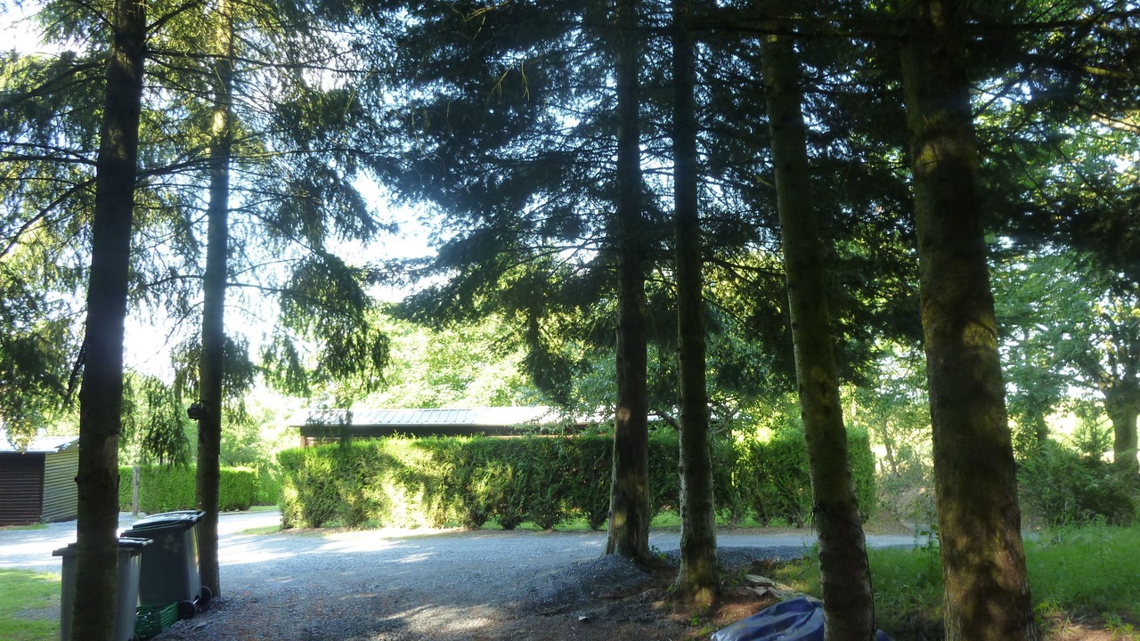 Photo of Outdoor in Pertheville-Ners