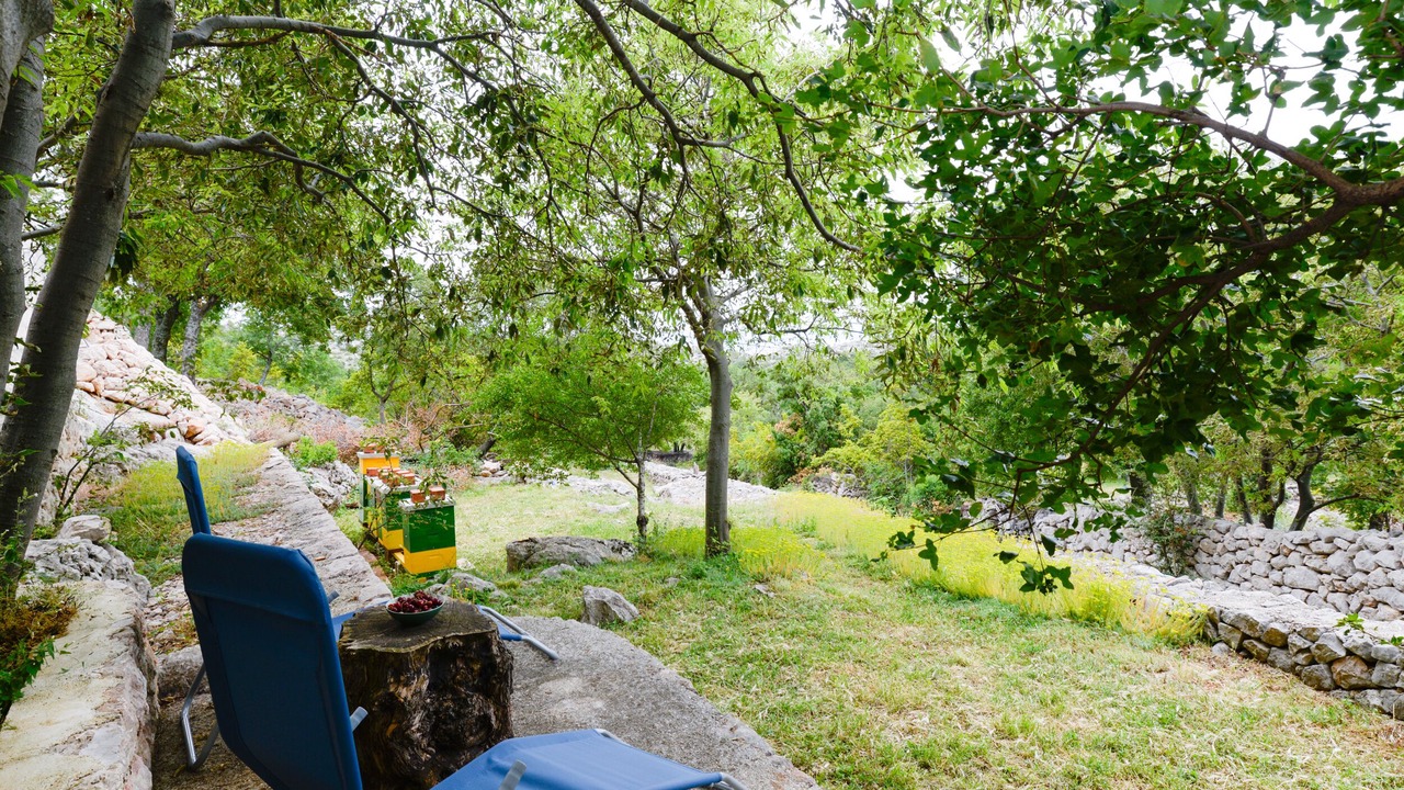 Photo of Outdoor in Tribanj