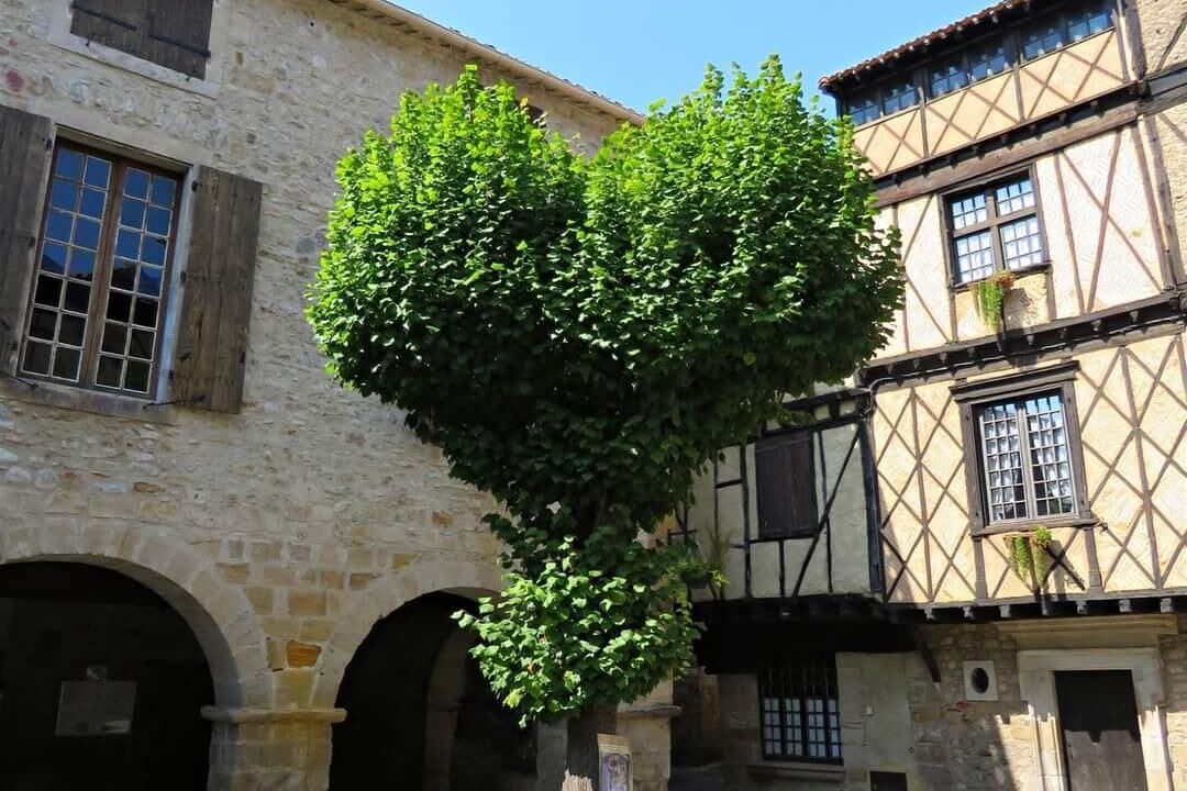 Photo of Outdoor in Alet-les-Bains