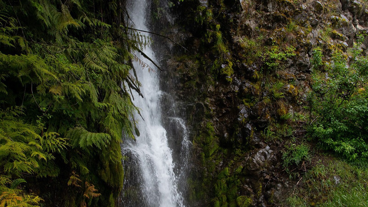 Photo of Others in Hoodsport