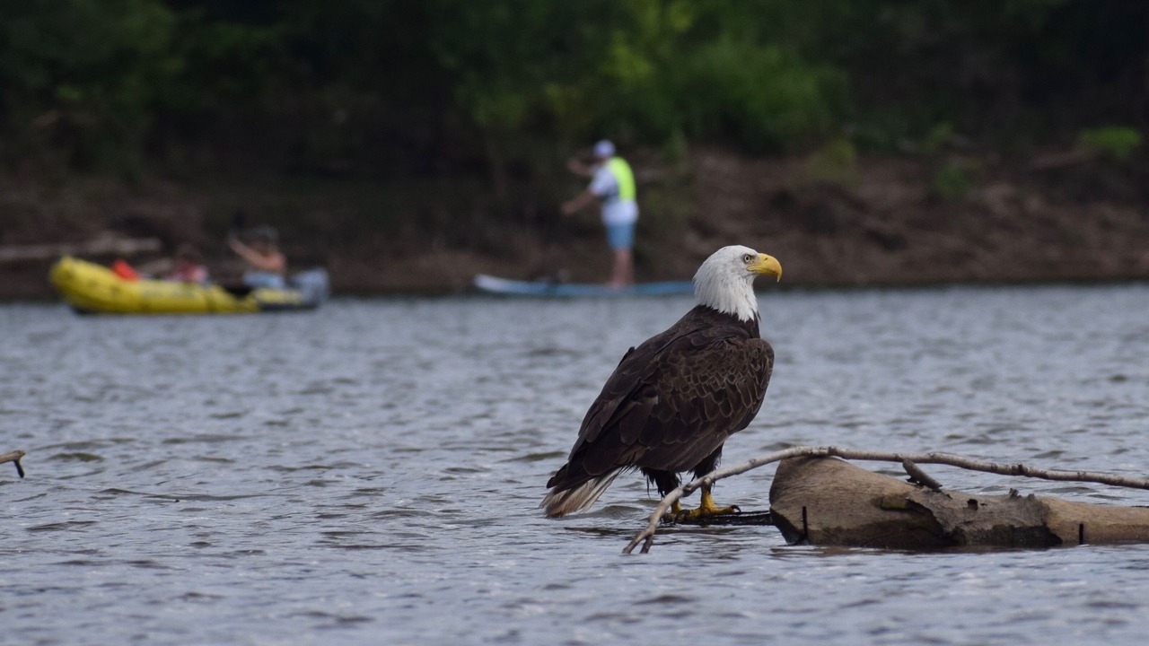 Photo of Others in Ballwin