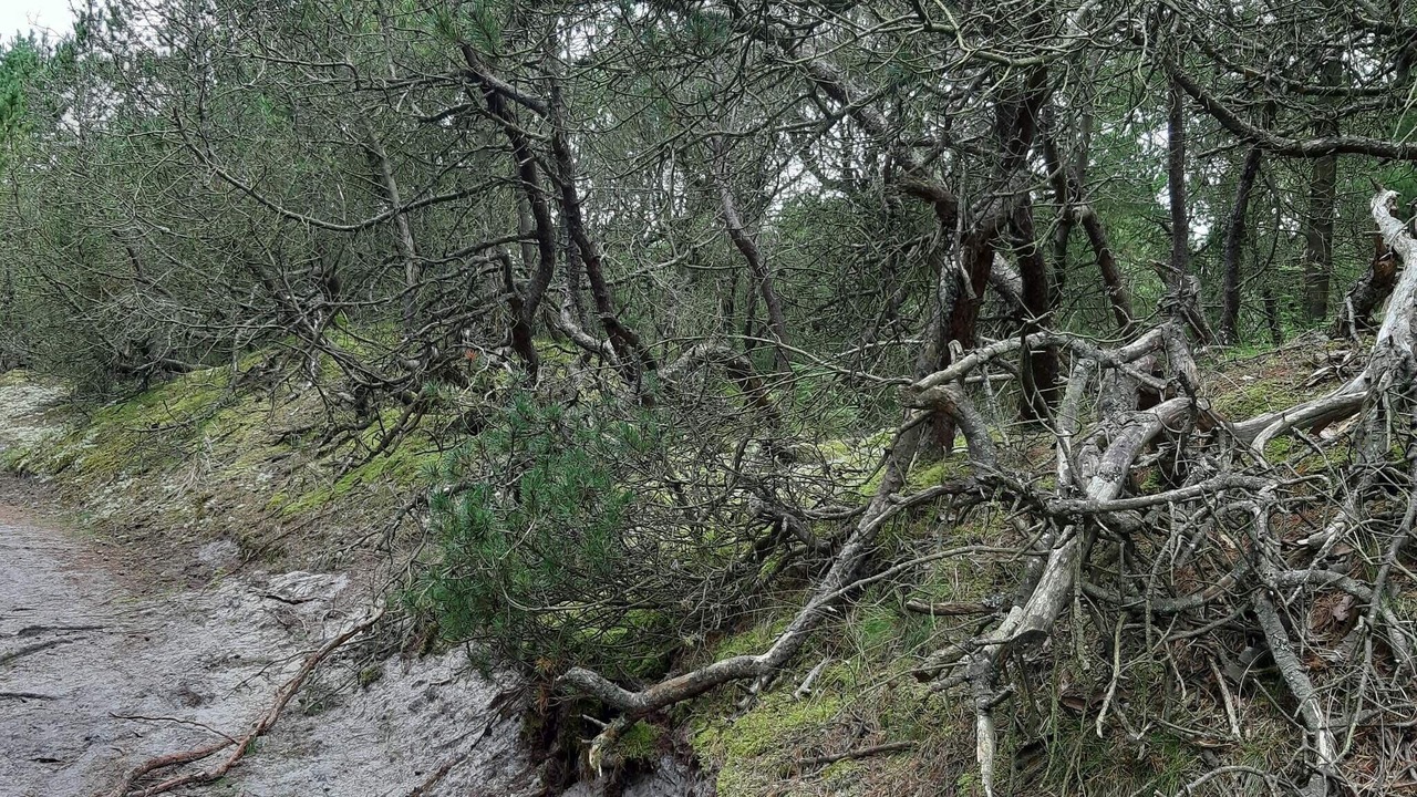 Photo of Others in Houstrup