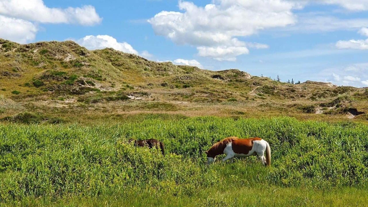Photo of Others in Houstrup