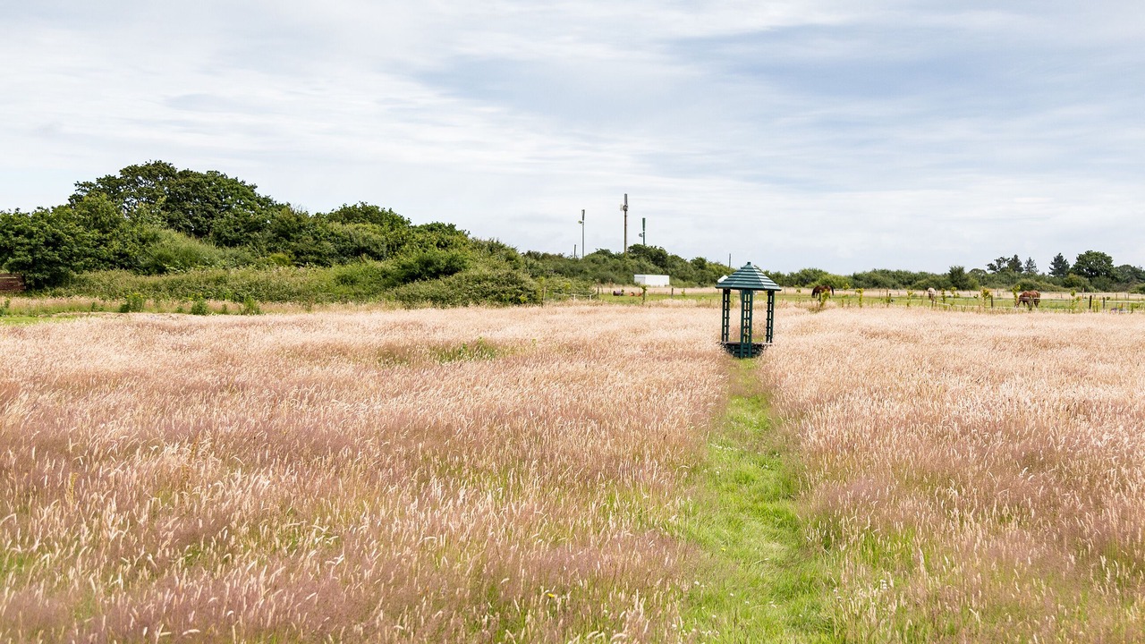 Photo of Outdoor in Ryde