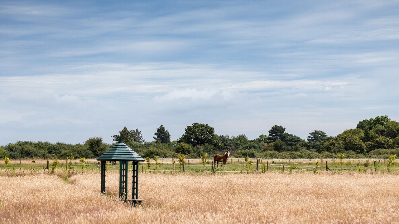 Photo of Outdoor in Ryde