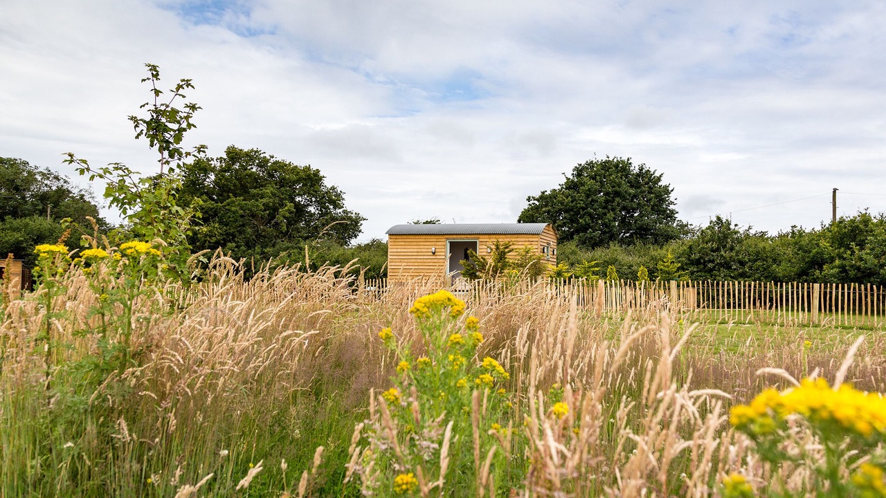 Photo of Outdoor in Ryde