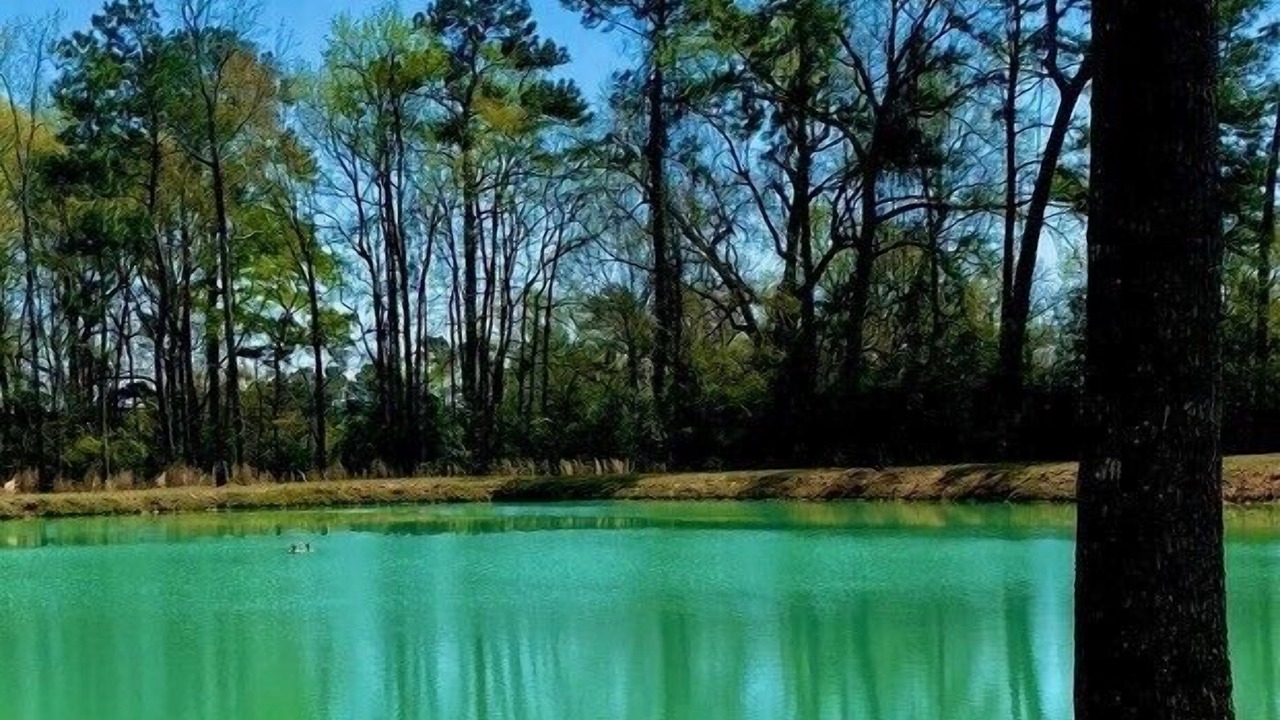 Photo of Outdoor in Montgomery