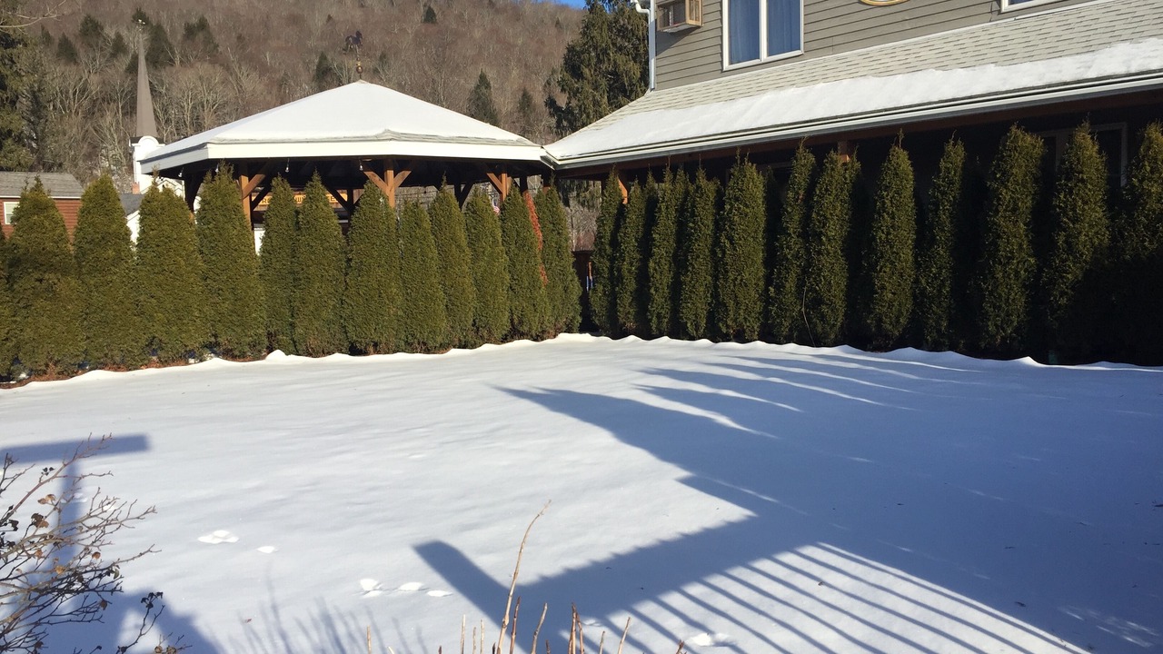 Photo of Outdoor in Roscoe