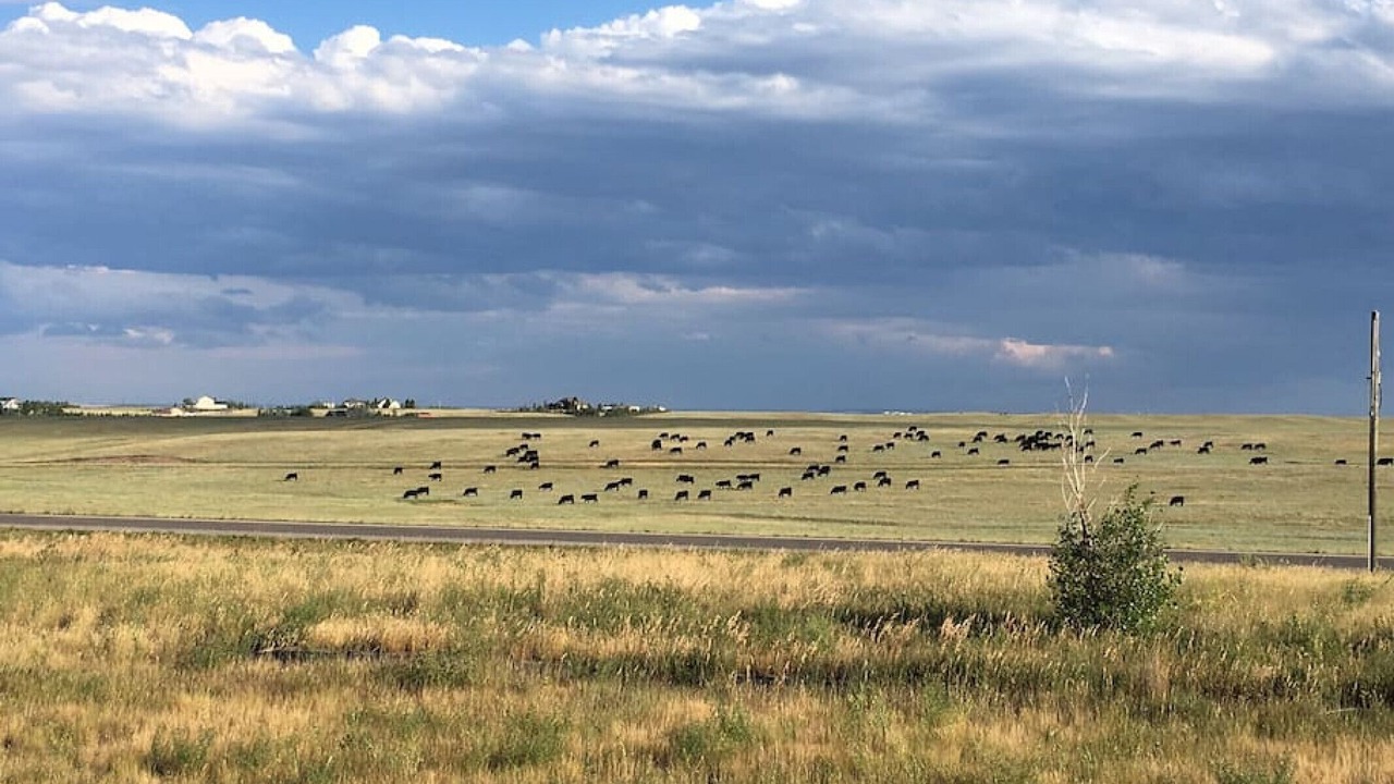 Photo of Others in Cheyenne