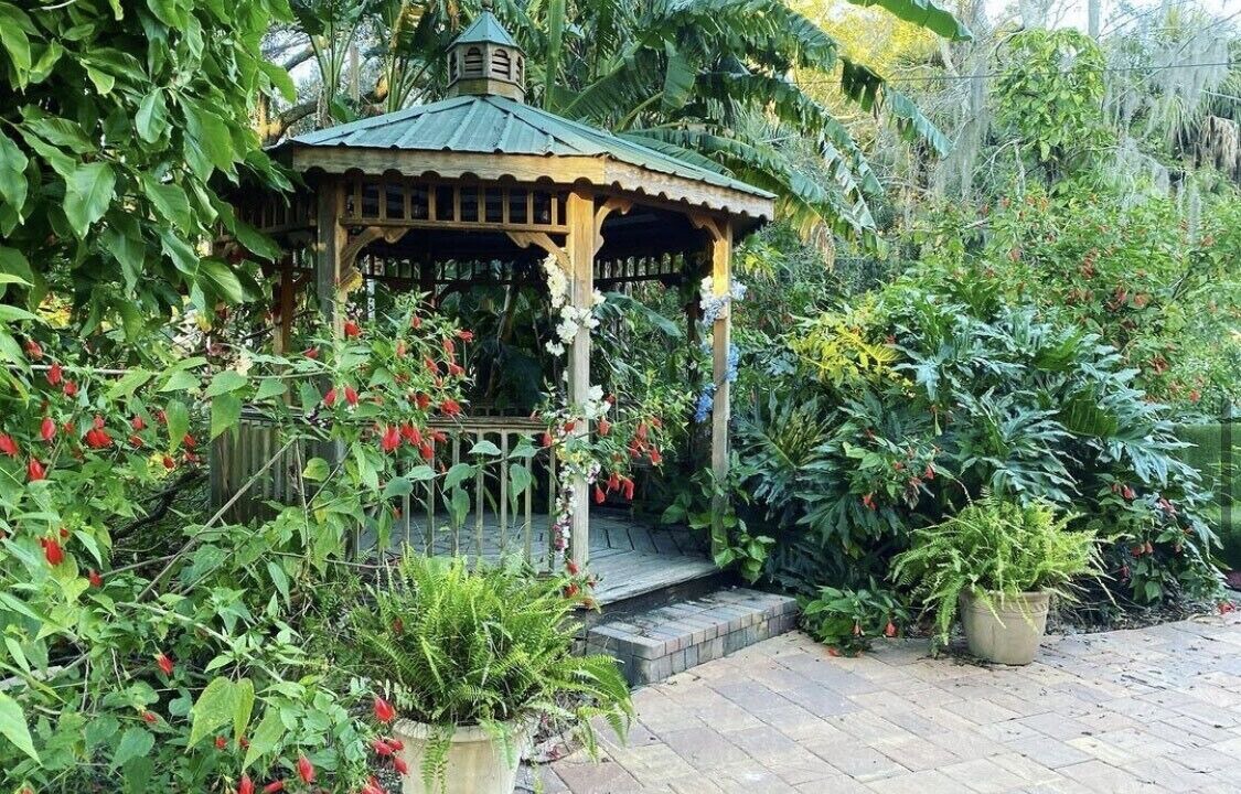 Photo of Outdoor in Town 'n' Country