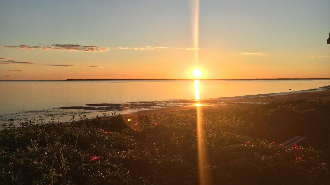 Photo of Others in Sjaelborg