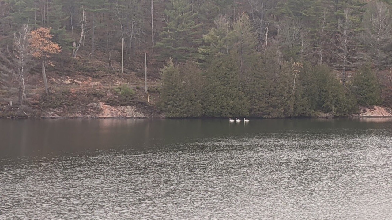 Photo of Others in Lanark Highlands