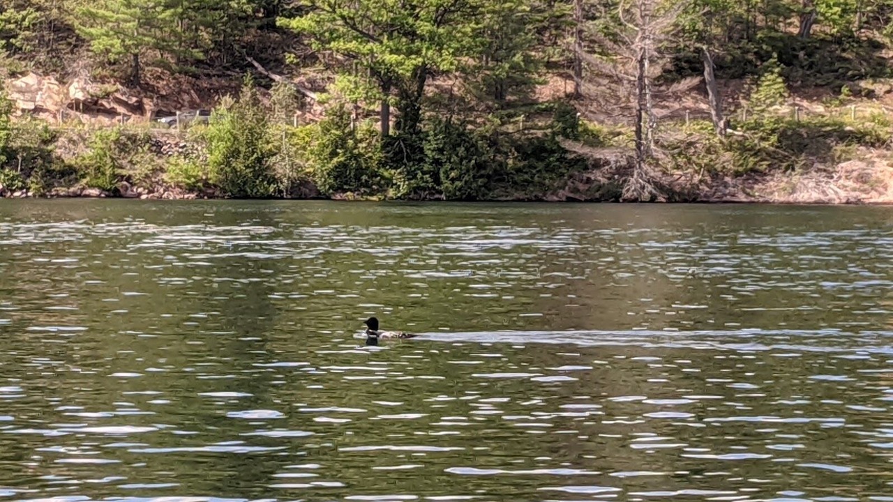 Photo of Outdoor in Lanark Highlands