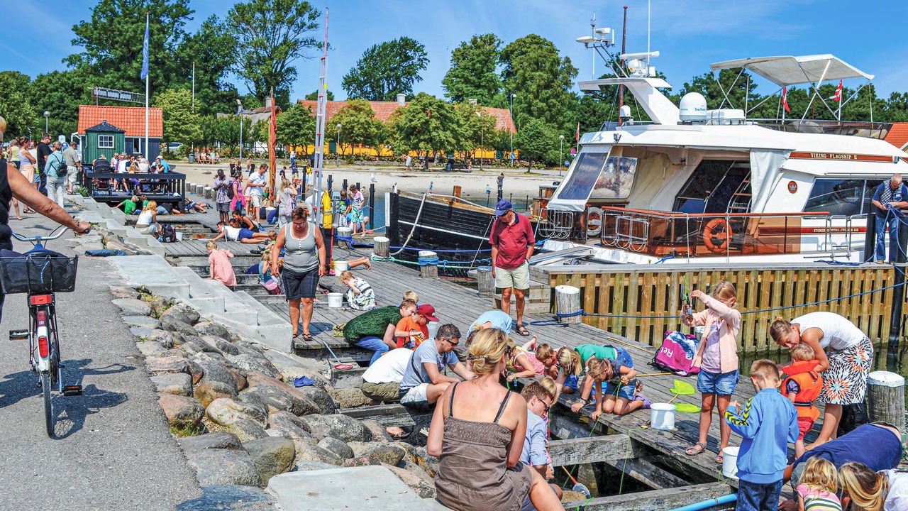 Photo of Others in Nykobing Sjaelland