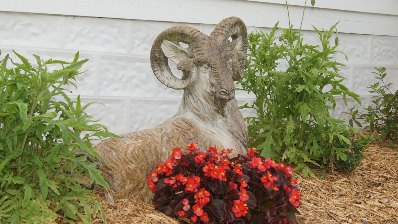 Photo of Outdoor in Shiner