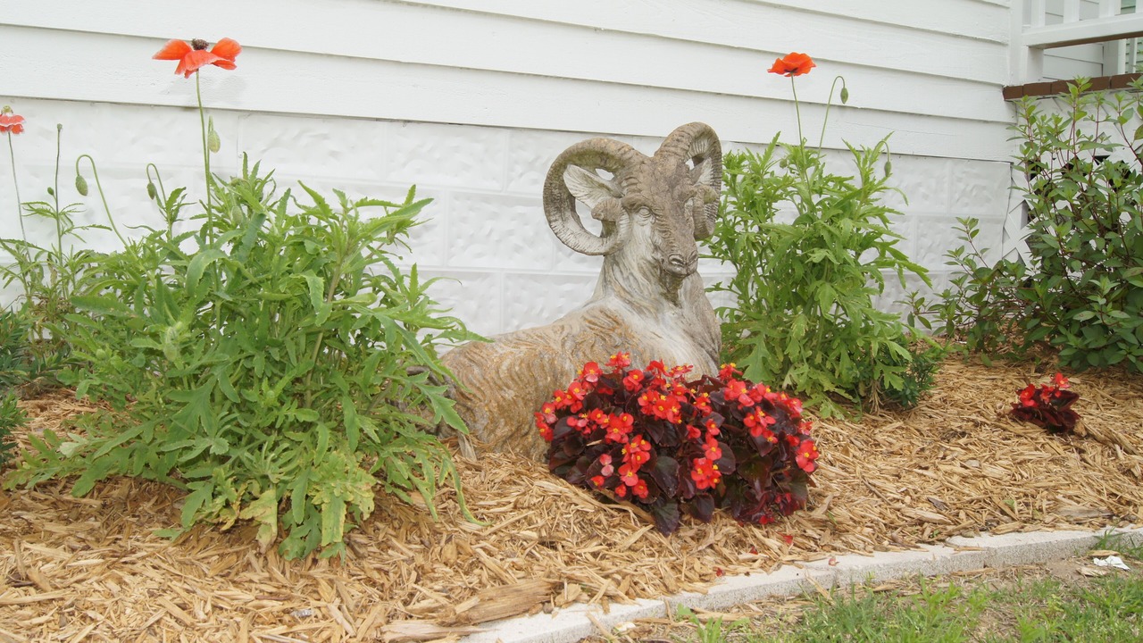 Photo of Outdoor in Shiner