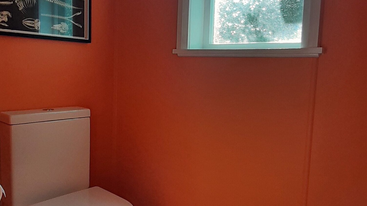 Photo of Bathroom in Wellington