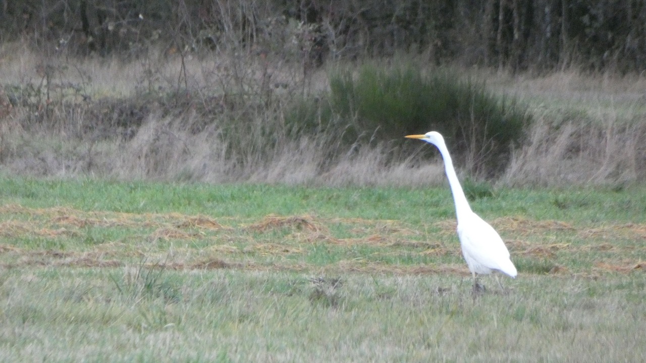 Photo of Outdoor in Preaux