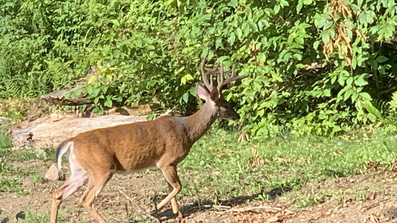 Photo of Outdoor in Town of Webb